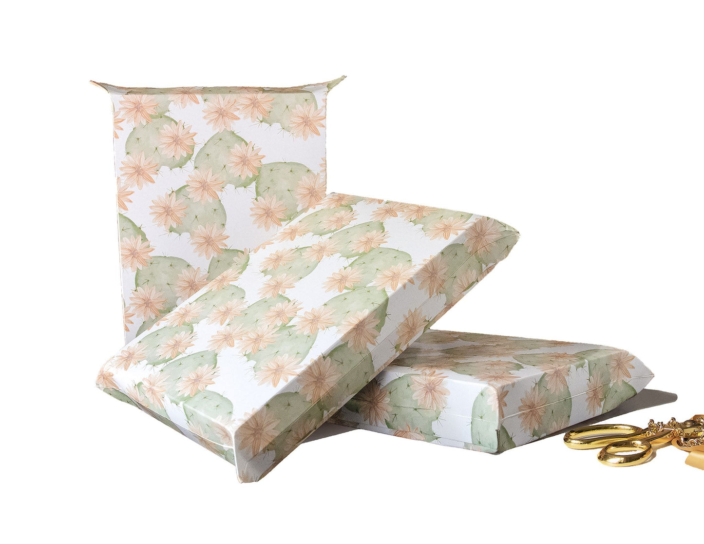 Flowering Cactus Gusseted Rigid Mailer 10x13